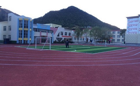 塑膠跑道徹底進入無顆粒時代--命名自結紋