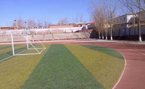 湖北復合型跑道廠家